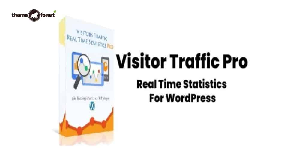 Visitor Traffic Real Time Statistics Pro