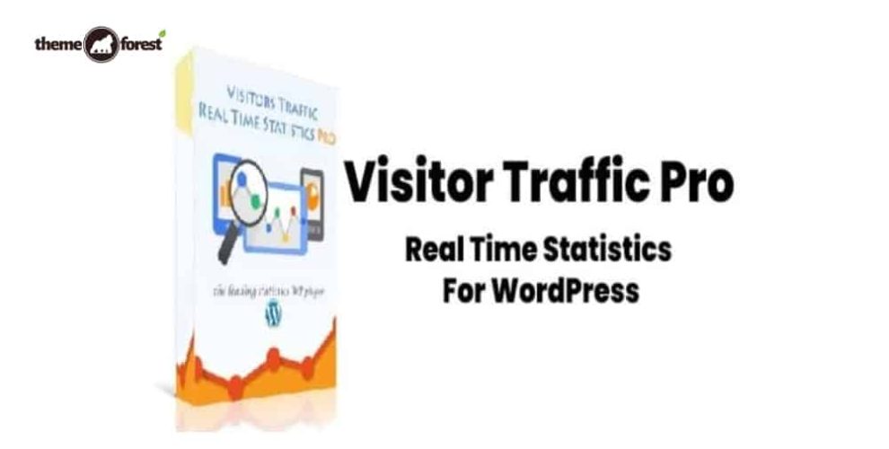 Visitor Traffic Real Time Statistics Pro